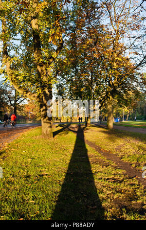 Vondelpark in Amsterdam de herfst; Vondelpark in Amsterdam im Herbst Stockfoto