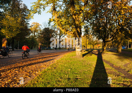 Vondelpark in Amsterdam de herfst; Vondelpark in Amsterdam im Herbst Stockfoto