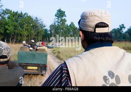 Jeeps mit Touristen und ihre Führer warten auf Tiger an überfüllten Ort in Marrakech, Indien während eines Tiger Safari Stockfoto