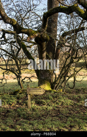 Fußweg über den Fluss Eamont auf der Dalemain Immobilien in der Nähe von Penrith, Pooley Bridge und Ullswater. Stockfoto