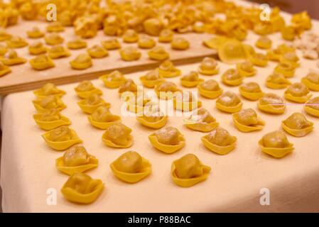 Vielfältige Auswahl an handgefertigten, traditionelle italienische Raw (Ungekocht) pasta auf Tabelle, die mit Ei, Mehl, Salz und Wasser. Stockfoto