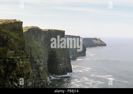 Die Klippen von Moher sind hochfliegend Klippen am südwestlichen Rand der Region Burren im County Clare, Irland. Stockfoto