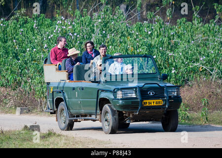 Touristen auf Tiger Safari in Indien Stockfoto