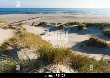 Uitzicht op Wattenmeer vanuit Duinen; Blick auf das Wattenmeer von Dünen Stockfoto