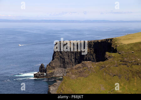 Die Klippen von Moher sind hochfliegend Klippen am südwestlichen Rand der Region Burren im County Clare, Irland. Stockfoto