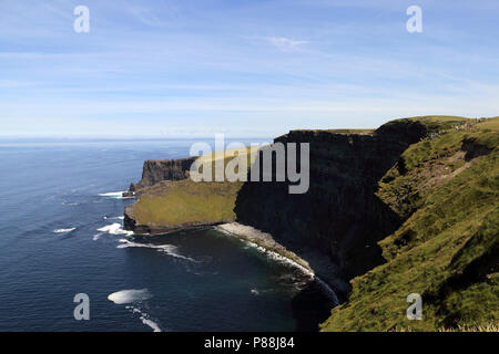 Die Klippen von Moher sind hochfliegend Klippen am südwestlichen Rand der Region Burren im County Clare, Irland. Stockfoto