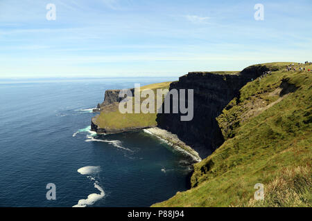 Die Klippen von Moher sind hochfliegend Klippen am südwestlichen Rand der Region Burren im County Clare, Irland. Stockfoto