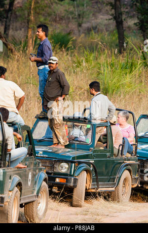 Touristen auf Tiger Safari in Indien Stockfoto