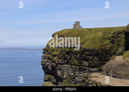 Die Klippen von Moher sind hochfliegend Klippen am südwestlichen Rand der Region Burren im County Clare, Irland. Stockfoto