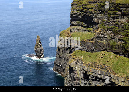 Die Klippen von Moher sind hochfliegend Klippen am südwestlichen Rand der Region Burren im County Clare, Irland. Stockfoto