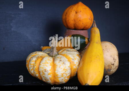 Kürbis Halloween display Clumber Park Stockfoto