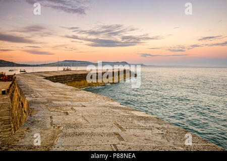Der Cobb, den historischen Hafen Mole in Lyme Regis, Dorset, England, an einem Sommerabend. Stockfoto