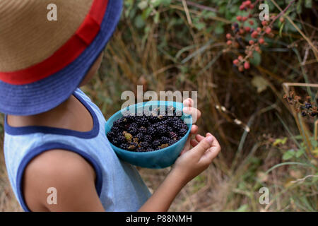 Im Wald pflücken und halten frische, reife und wilden Brombeeren KIND Stockfoto