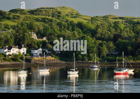 Abendsonne auf Segelboote im Hafen von Ardmucknish Bucht von connel Schottland Großbritannien in der Nähe von Oban Stockfoto