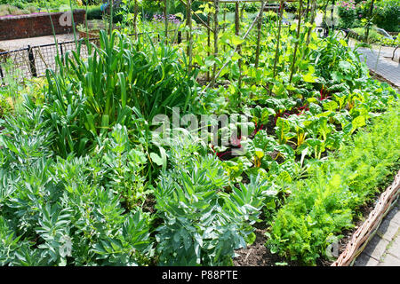 Ein potager Garten voller Bio-gemüse an RHS Rosemoor Gärten, Torrington, Devon, Großbritannien - Johannes Gollop Stockfoto