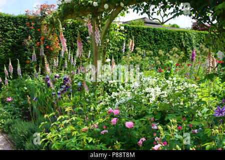 Eine Grenze von Bunt blühende fingerhut an der RHS Rosemoor Gärten, Devon, Großbritannien - Johannes Gollop Stockfoto