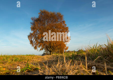 Hoogveen in Diepholz, Deutschland; Moorbecken in Diepholz, Deutschland Stockfoto