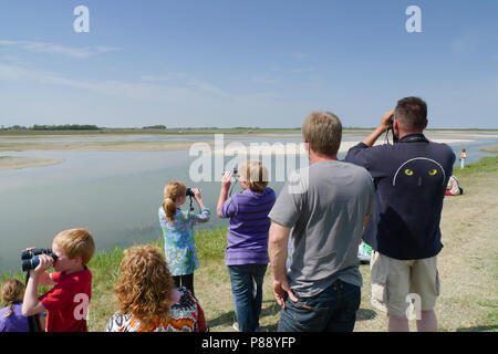 Vogelaars op de Uitkijk bij Utopie; Vogelbeobachter auf ihre Post an Utopie Stockfoto