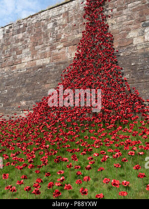 Carlisle Castle, Cumbria, Großbritannien: weinende Fenster commemorative Kunst installation, 100 Jahre seit WW1. 888,246 Keramik Kunst Mohn die Anzahl der Leben Stockfoto
