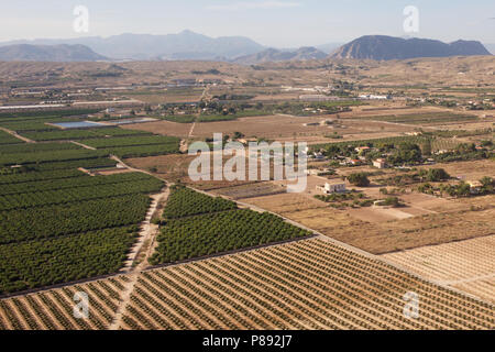 Landschaft, Landwirtschaft und Weinberge in der Nähe von Alicante von einem Flugzeug aus gesehen Stockfoto