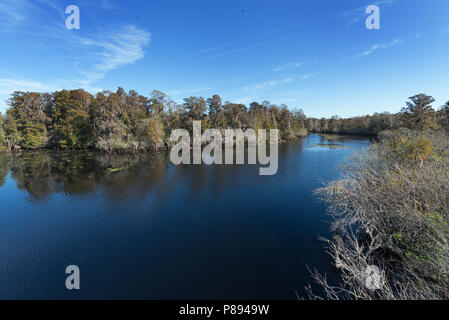 Hillsborough River in der Nähe von Tampa, Florida Stockfoto