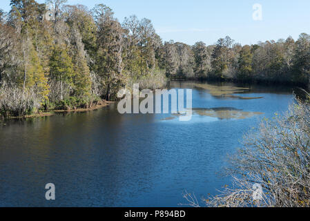 Hillsborough River in der Nähe von Tampa, Florida Stockfoto