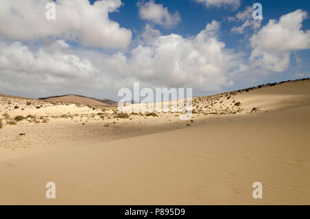 Sanddünen am Strand Sotavento Fuereventura, Kanarische Inseln mit malerischen Wolken im Himmel Stockfoto