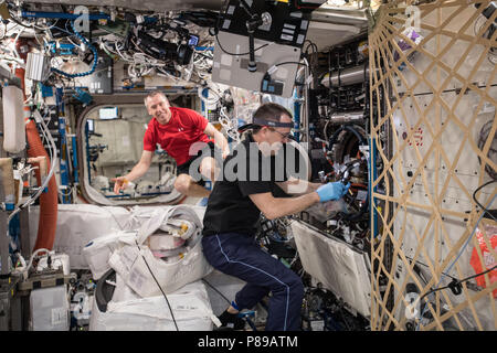 Die NASA-Astronauten Ricky Arnold, Vordergrund, und Drew Feustel führt die Instandhaltung im Brennraum integrierten Rack bis die Erweiterte Verbrennung über Experimente in der Schwerelosigkeit der Internationalen Raumstation Juni 19, 2018 in der Erdumlaufbahn zu setzen. Stockfoto