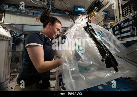 Expedition 57 Crew Mitglieder Serena Aunon-Chancellor der NASA arbeitet an der Schwerelosigkeit Untersuchung von Zementverfestigung Experiment an Bord der Internationalen Raumstation am 26. Juni 2018 in der Erdumlaufbahn. Stockfoto