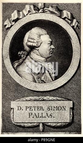 Porträt des Zoologen und Botaniker Peter Simon Pallas (1741-1811). Museum: Russische Nationale Bibliothek, St. Petersburg. Stockfoto