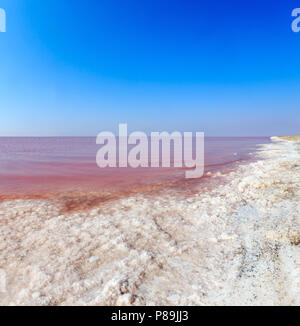Rosa extrem salzig Syvash See, gefärbt durch Mikroalgen mit kristallinen Salz depositionen. Auch als die fauligen Meer oder faulen Meer bekannt. Ukraine, Kherso Stockfoto