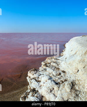 Rosa extrem salzig Syvash See, gefärbt durch Mikroalgen mit kristallinen Salz depositionen. Auch als die fauligen Meer oder faulen Meer bekannt. Ukraine, Kherso Stockfoto