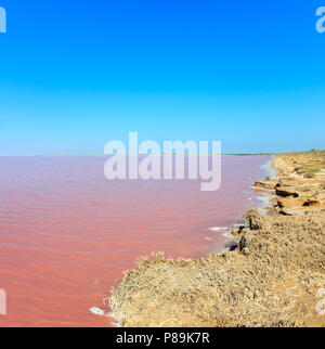 Rosa extrem salzig Syvash See, gefärbt durch Mikroalgen mit kristallinen Salz depositionen. Auch als die fauligen Meer oder faulen Meer bekannt. Ukraine, Kherso Stockfoto