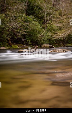 Wasser rauscht vorbei an Felsen in Spring Creek in den Smokies Stockfoto