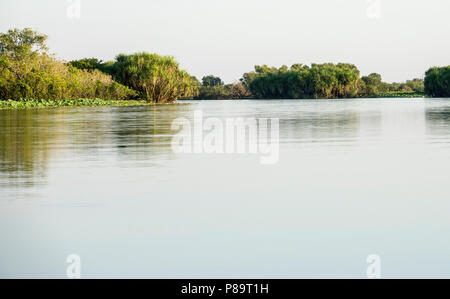 Corroboree Billabong, Mary River Wetlands, Northern Territory Stockfoto