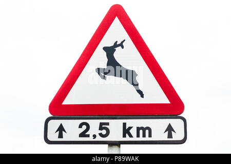 Rotwild Kreuzung Warnschild auf einer Straße Stockfoto