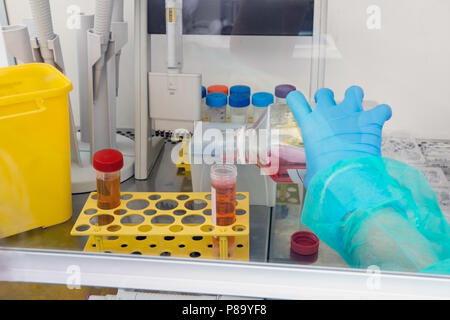 Forschung durchgeführte Tätigkeit im medizinischen Labor Stockfoto