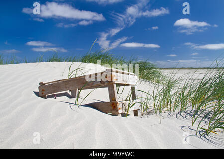 Eine Holzkiste, gewaschen an Land, im Sand eine neue gebildet Dune Stockfoto