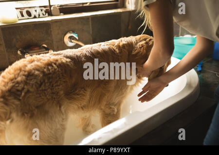 Mädchen Reinigung ein Hund im Badezimmer Stockfoto