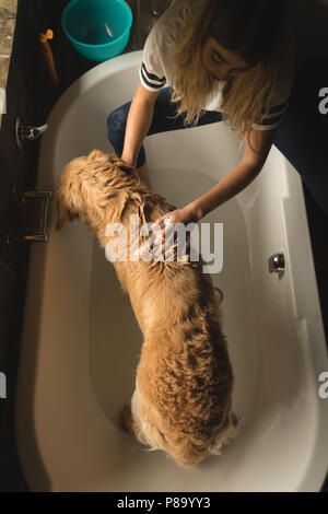 Mädchen Reinigung ein Hund im Badezimmer Stockfoto