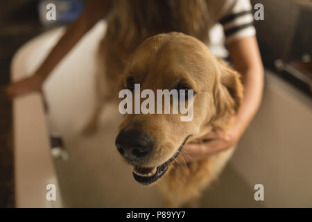 Mädchen Reinigung ein Hund im Badezimmer Stockfoto