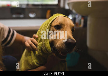 Mädchen Reinigung ein Hund im Badezimmer Stockfoto