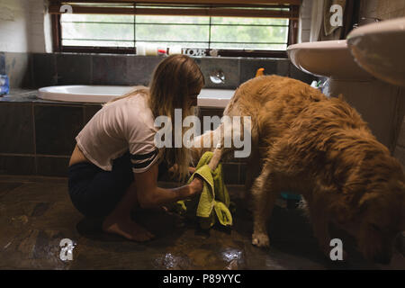 Mädchen Reinigung ein Hund im Badezimmer Stockfoto