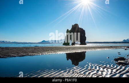 Hvítserkur, Elephant Rock spiegelt sich auf dem Strand von Lava, Basalt Felsen in der Form eines Elefanten im Sonnenschein, Norðurland djupivogur Stockfoto