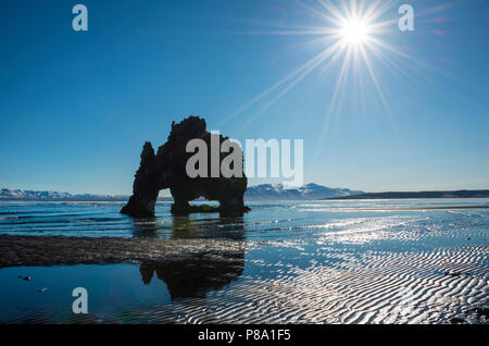 Hvítserkur, Elephant Rock spiegelt sich auf dem Strand von Lava, Basalt Felsen in der Form eines Elefanten im Sonnenschein, Norðurland djupivogur Stockfoto