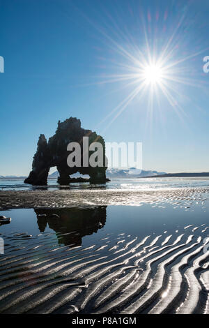 Hvítserkur, Elephant Rock spiegelt sich auf dem Strand von Lava, Basalt Felsen in der Form eines Elefanten im Sonnenschein, Norðurland djupivogur Stockfoto