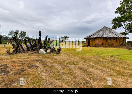 Hütte Haus mit trockenen verbrannte Rinde mit neue Blätter wachsen Stockfoto