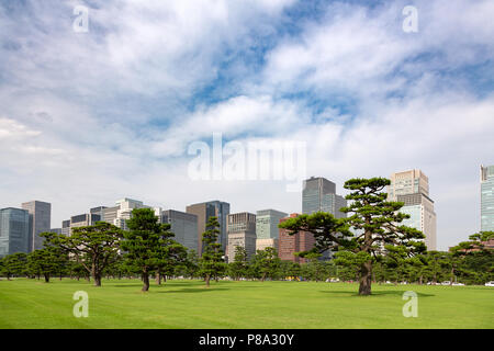 Tokio Stadtbild der Luxushotels Marunouchi Bezirk wie von den gepflegten Park rund um das Imperial Palace gesehen. Stockfoto