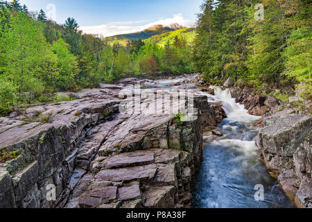 Felsige Schlucht auf der Swift River im Mai, White Mountain National Forest, Carroll Co, NH Stockfoto