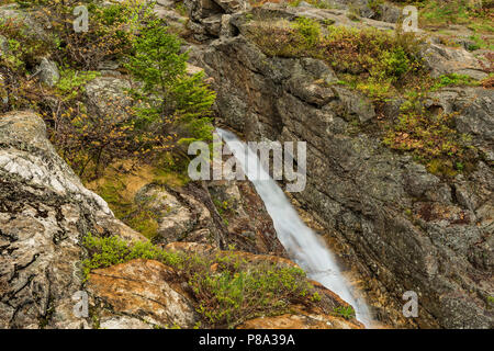 Untere Stufe der Silver Cascade im Frühjahr, White Mountain National Forest, Crawford Notch State Park, Carroll Co, NH Stockfoto